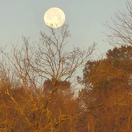 Lägenhet Mamie Krema Boresse-et-Martron