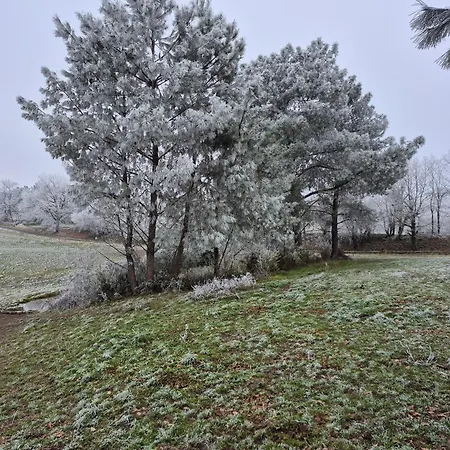 Lägenhet Mamie Krema Boresse-et-Martron
