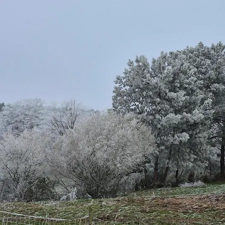 Mamie Krema Boresse-et-Martron