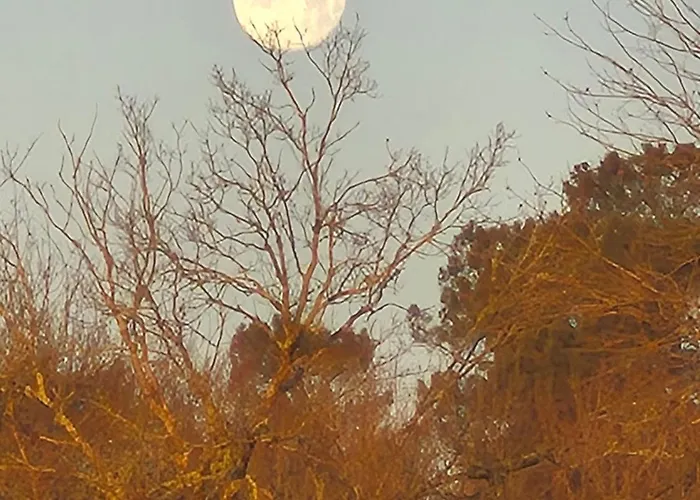 Apartmán Mamie Krema Boresse-et-Martron