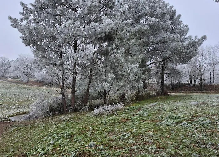 Lägenhet Mamie Krema Boresse-et-Martron